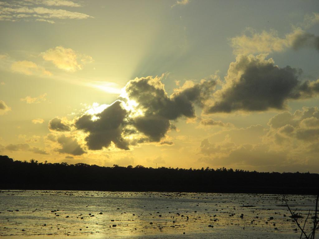 Вилла Coconut Island Тангалла Экстерьер фото