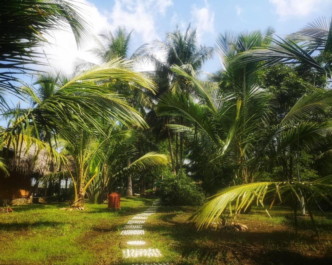 Вилла Coconut Island Тангалла Экстерьер фото