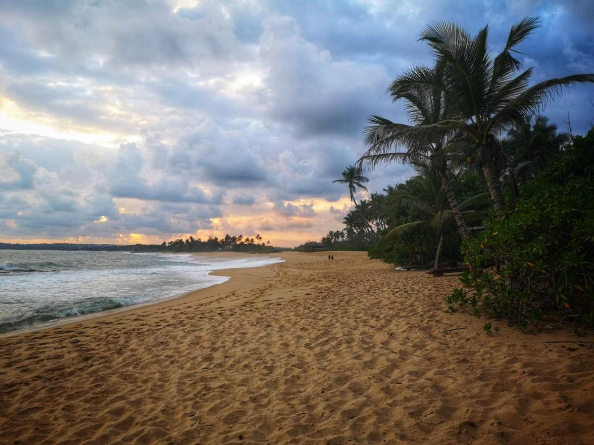 Вилла Coconut Island Тангалла Экстерьер фото