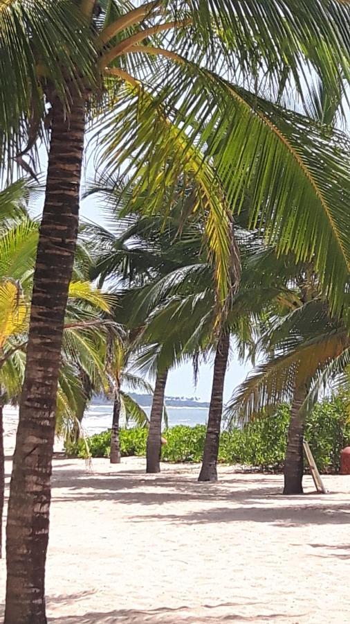 Вилла Coconut Island Тангалла Экстерьер фото