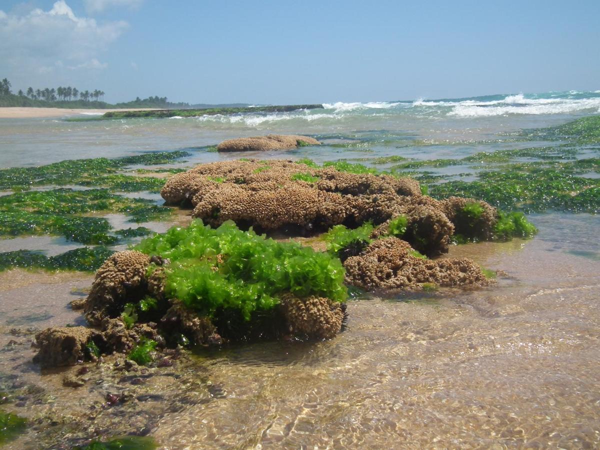 Вилла Coconut Island Тангалла Экстерьер фото